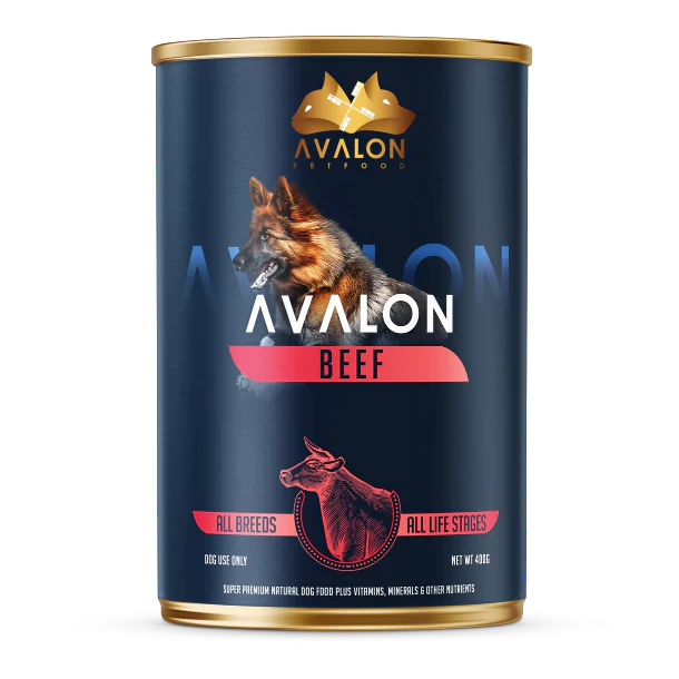 2_adf18ffb-e66e-4301-968a-347e2e3c921b 2_adf18ffb-e66e-4301-968a-347e2e3c921b