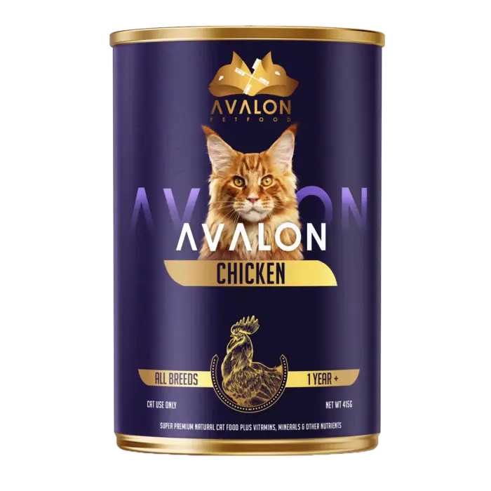 Avalon-Chicken-Cat