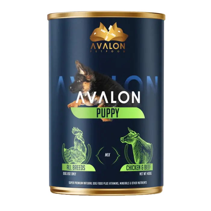 Avalon-Puppy Avalon-Puppy