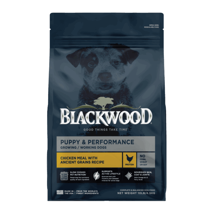 Blackwood_Puppy_Chicken_Square Blackwood_Puppy_Chicken_Square