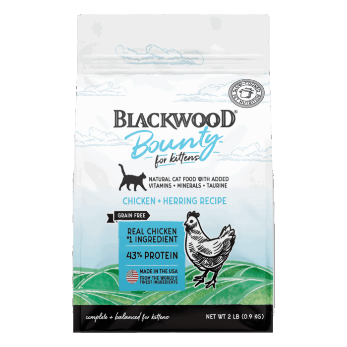 Bounty_Kitten_ChickenHerring_Square Bounty_Kitten_ChickenHerring_Square
