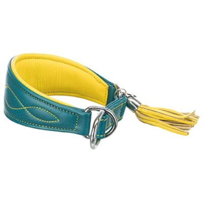 ACTIVE COLLAR XS GREYHOUNDS