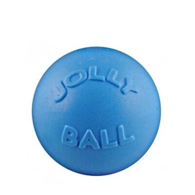 Bounce-n-Play (Blueberry)