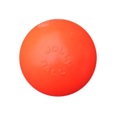 Bounce-n-Play (Orange)