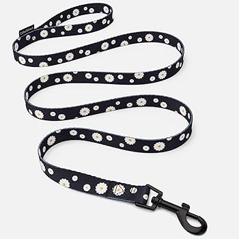 CC Neoprene Lead 4x5/8 Black Floral