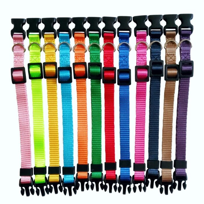 DOOGY KIT OF 12 ID PUPPY COLLARS