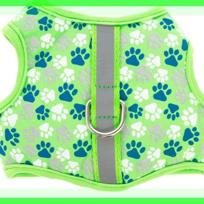 DOOGY PAW HARNESS