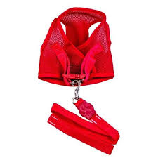 DOOGY RED AIR MESH LEASH 15MM X 1.20CM