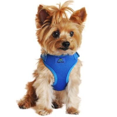 DOOGY T-SHIRT HARNESS TAHITI BLUE XSMALL