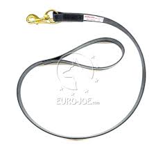 EURO JOE leash biothane W handle 2M