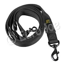 EURO JOE leash biothane W handle 3M