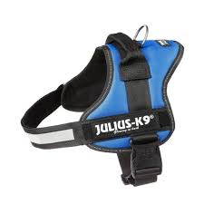 Julius K-9 Dog Dark Blue Harness Size Baby 1