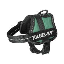 Julius K-9 Dog Green Harness Size 3