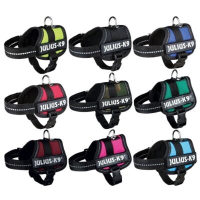 Julius K-9 Dog Harness Different Colors Size Baby 1