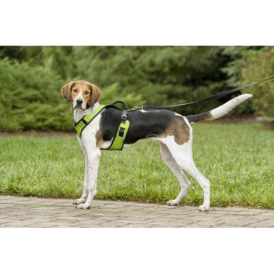 PETSAFE GREEN EASY SPORT HARNESS XS