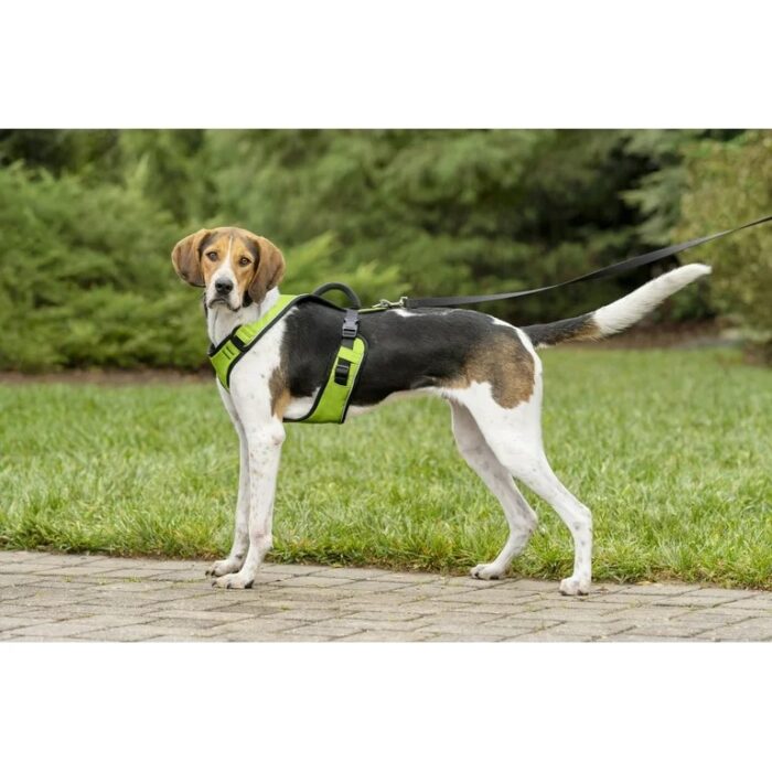 PETSAFE GREEN EASY SPORT HARNESS XS PETSAFE GREEN EASY SPORT HARNESS XS
