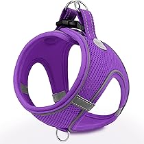 PURPLE AIR MESH LEASH 15MM X 1.20M