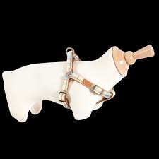 ZOLUX HARNESS SCOTT BEIGE 15MM