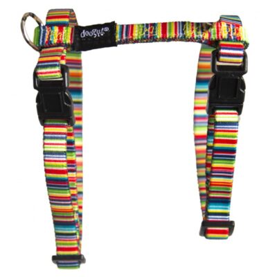 FANCY CAT HARNESS AND LEASH SET RAINBOW